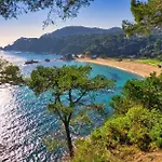 Cirici Villa