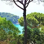 Cirici