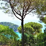 Villa Cirici