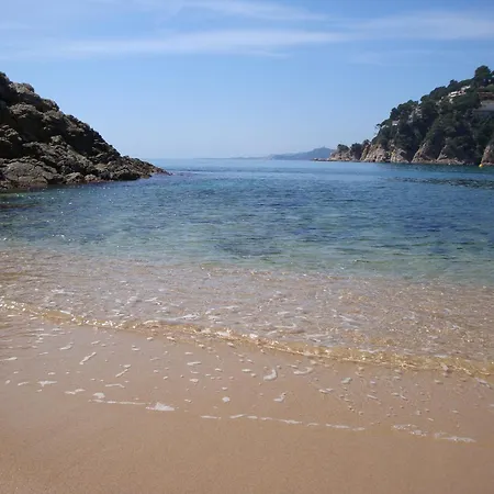 Villa Cirici *