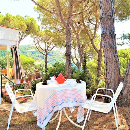 Villa Cirici *