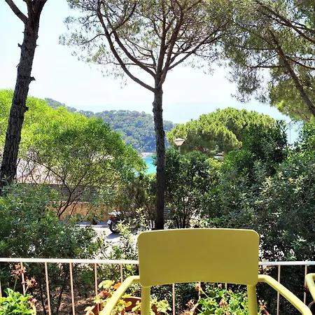 Cirici * Lloret de Mar