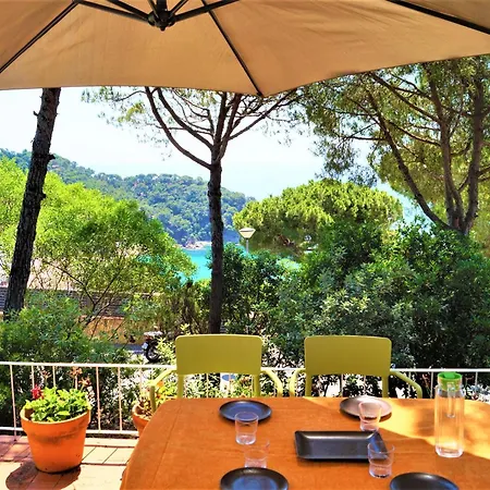 Villa Cirici *