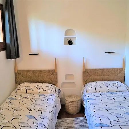 Cirici
