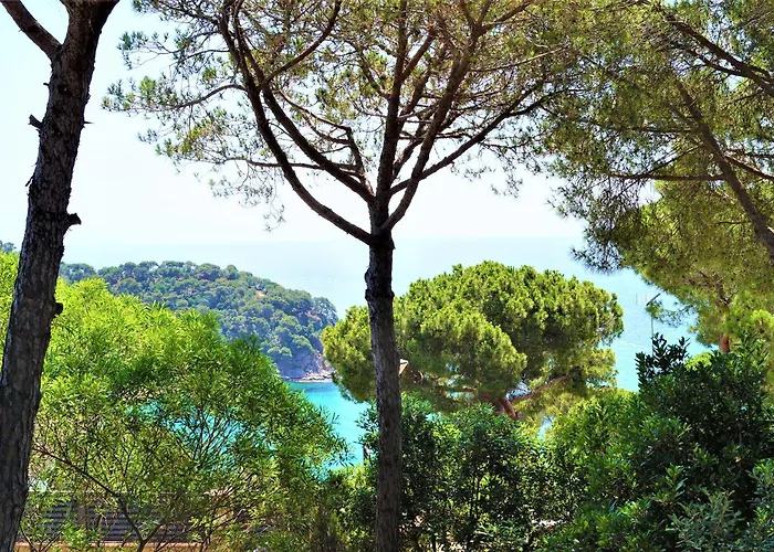 Villa Cirici