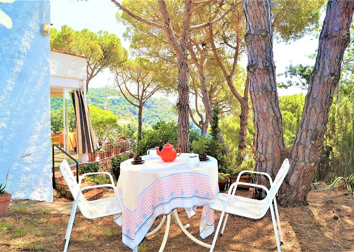 Villa Cirici *