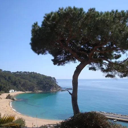 Cirici Lloret de Mar